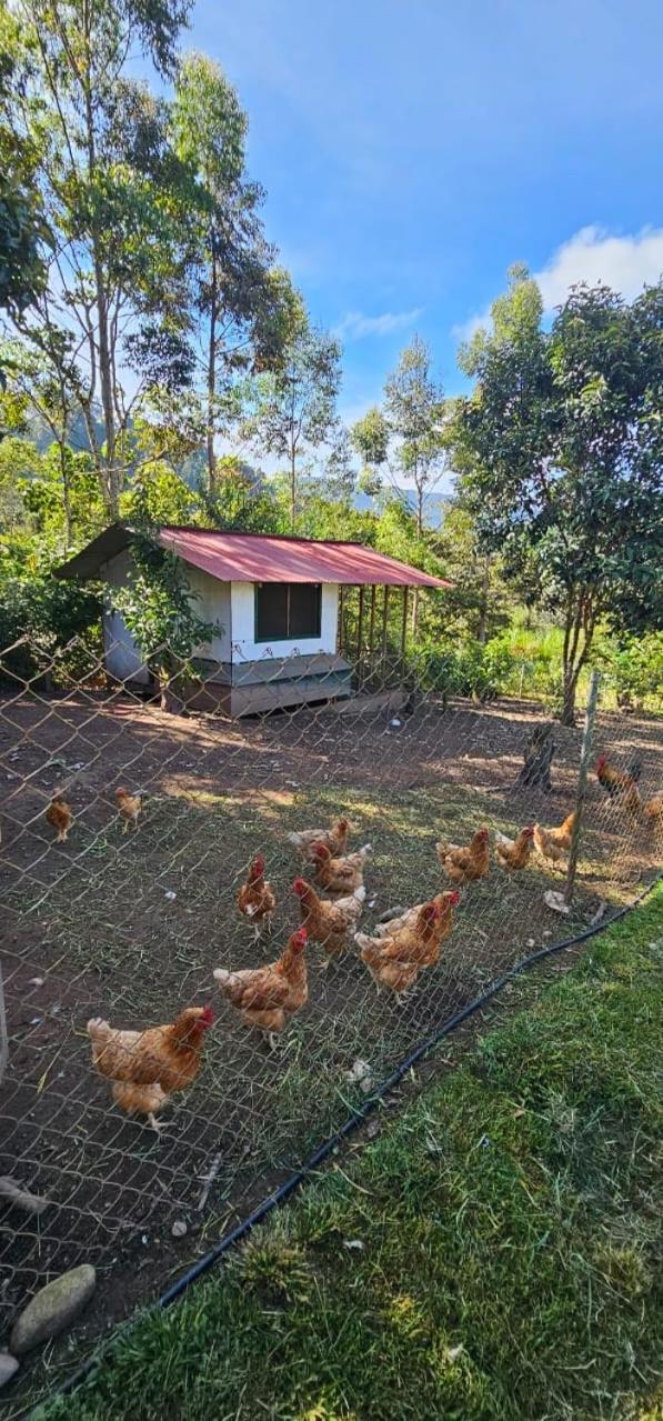 Hassinger Ranch Cabanas Oxapampa Kültér fotó