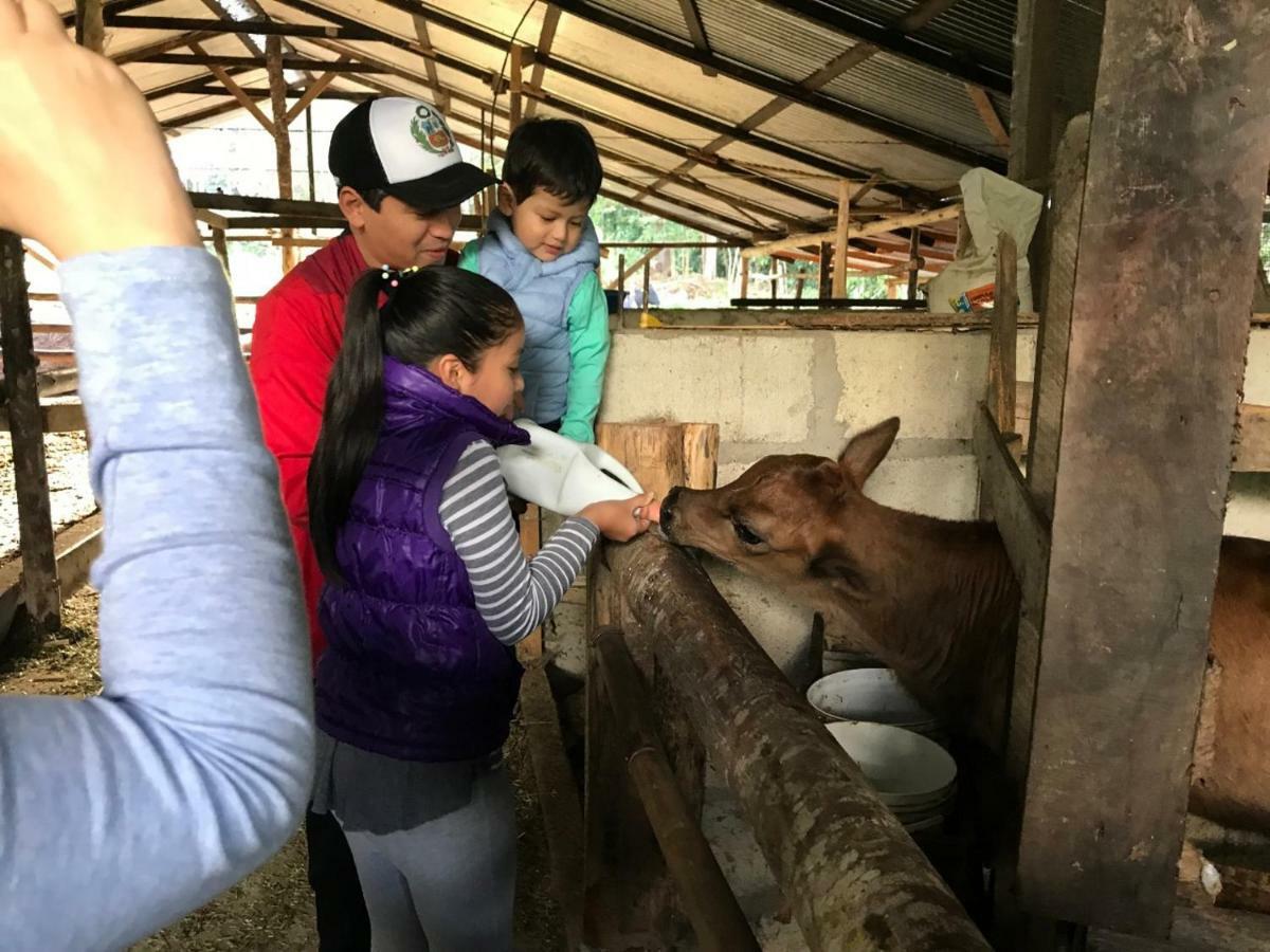 Hassinger Ranch Cabanas Oxapampa Kültér fotó
